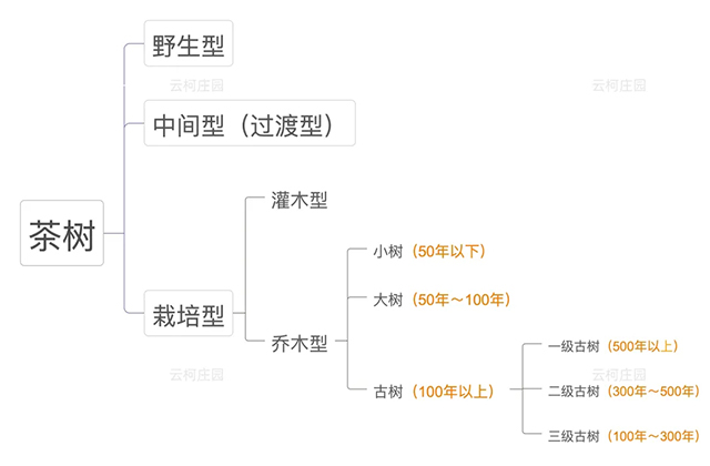 云柯庄园
