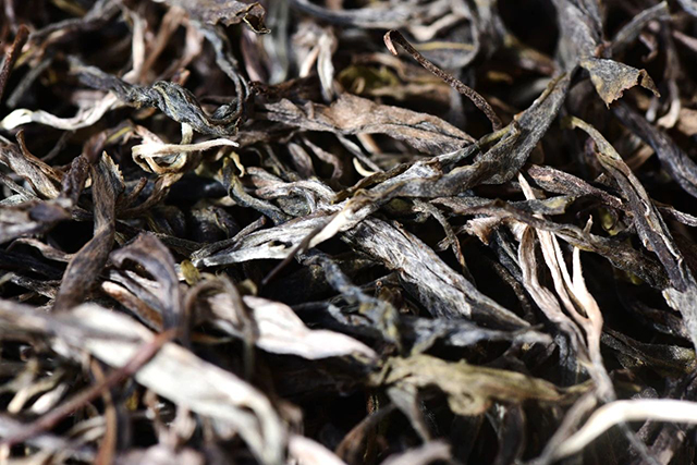 彩农茶2025乙巳年生肖纪念饼蛇饼普洱茶品质特点