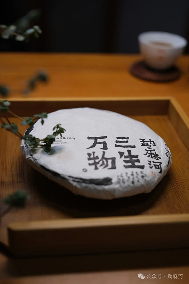 勐麻河普洱熟茶