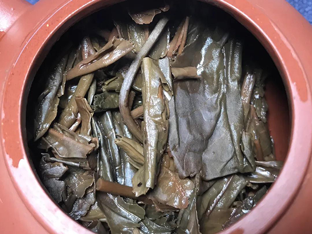 大益2013早春乔木青饼普洱茶品质特点
