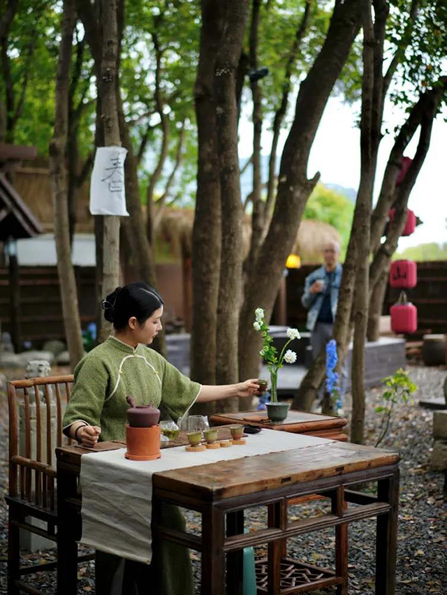 普洱杂志