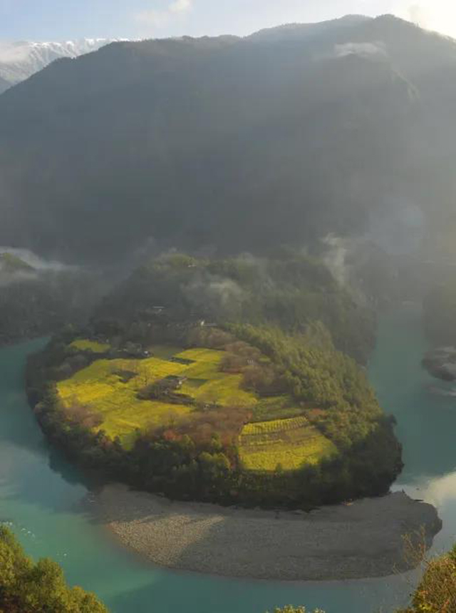 普洱杂志