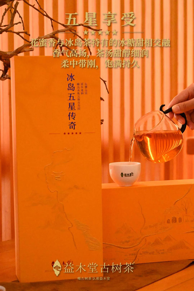 益木堂古树茶五星传奇滇红工夫红茶