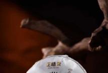 2024·六星孔雀|核心产区与时间融合的魅力