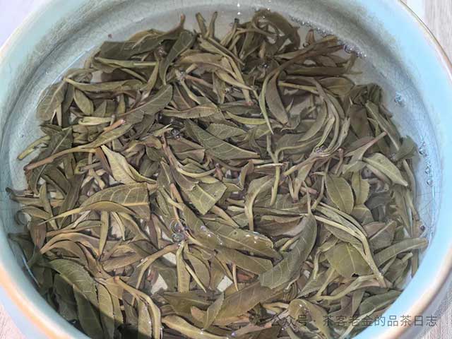 双弗山2024年倚邦细叶单株普洱茶品质特点