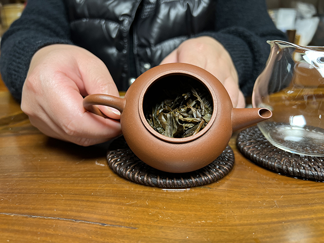 图为2010年易武刮风寨茶树王古树茶