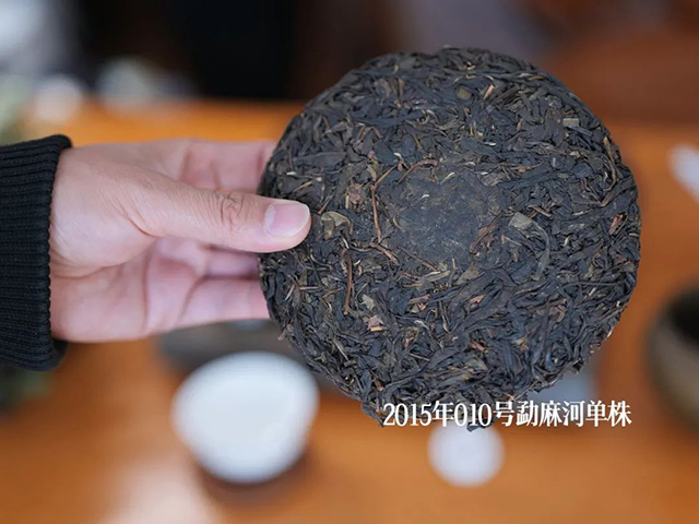 勐麻河单株普洱茶