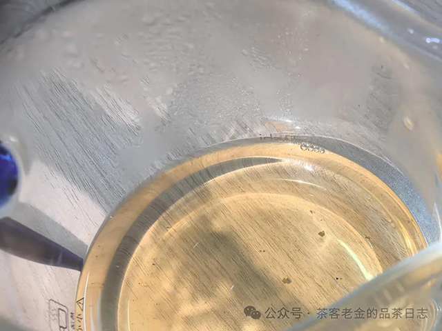 馨兰熙号2024年极致刮风寨普洱茶品质特点
