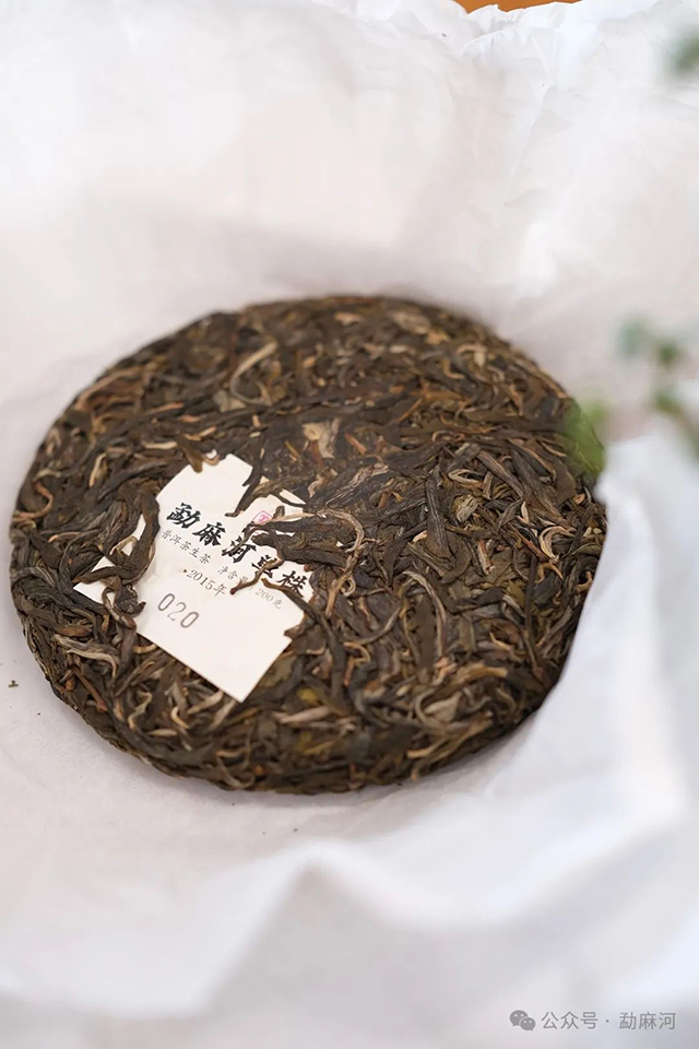 勐麻河单株