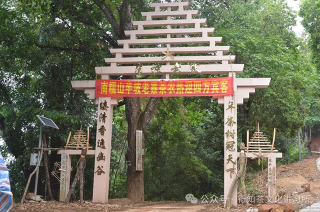 新六大茶山