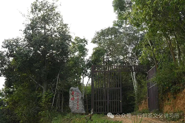 行知茶文化讲习所