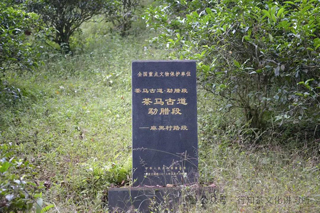 茶马古道易武山