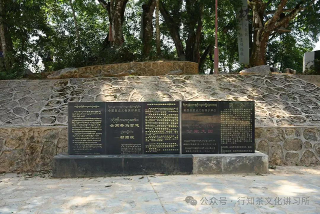 茶马古道易武山