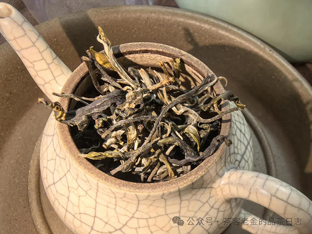双弗山2024年倚邦无极普洱茶品质特点