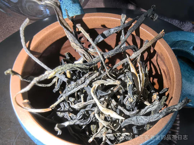 茶者无喧2024年莽枝有林普洱茶品质特点