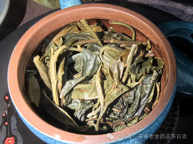 茶者无喧2024年莽枝有林普洱茶品质特点