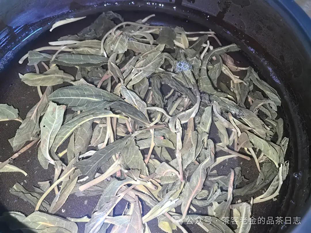 茶者无喧2024年莽枝有林普洱茶品质特点