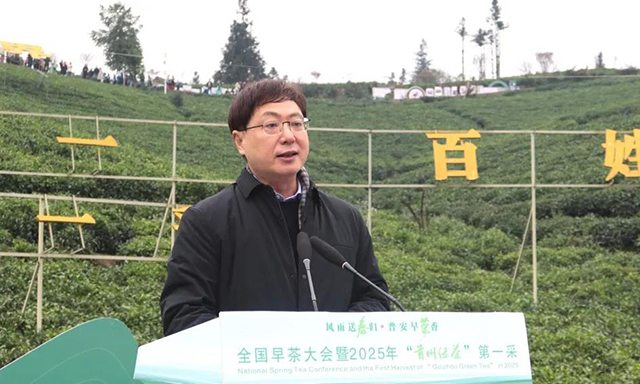 全国早茶大会暨2025年贵州绿茶第一采活动现场