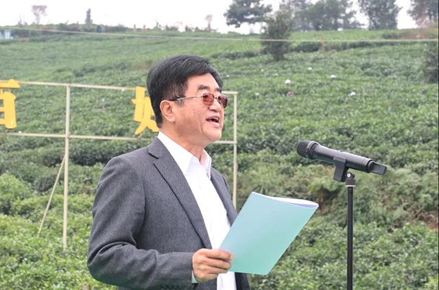 全国早茶大会暨2025年贵州绿茶第一采活动现场