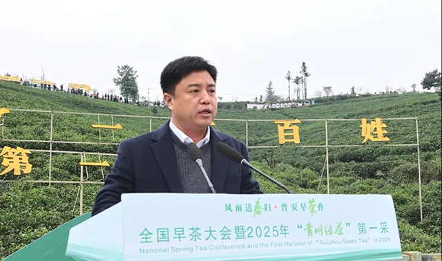 全国早茶大会暨2025年贵州绿茶第一采活动现场