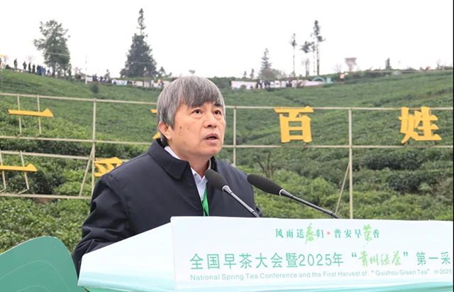 全国早茶大会暨2025年贵州绿茶第一采活动现场