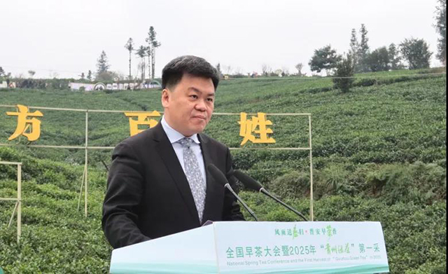 全国早茶大会暨2025年贵州绿茶第一采活动现场