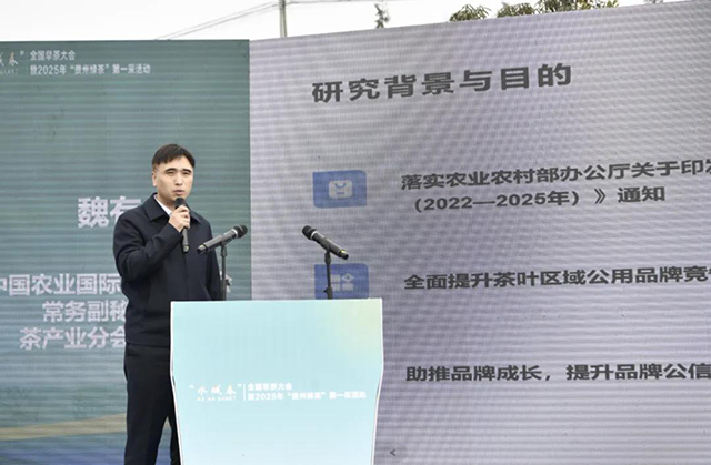 2024年全国茶叶区域公用品牌影响力指数