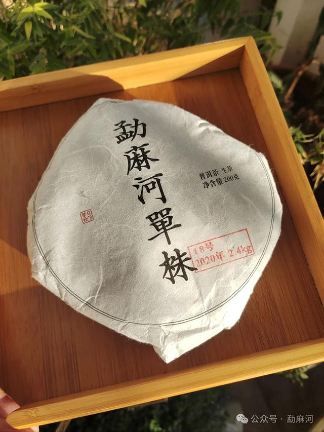 勐麻河单株