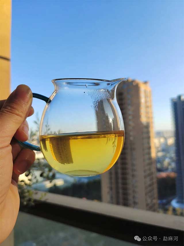勐麻河单株