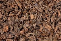 彩农茶·景迈｜十年醇老茶头，优惠上架