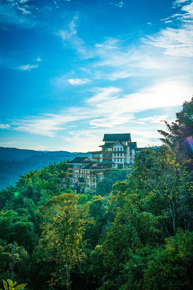 六大茶山