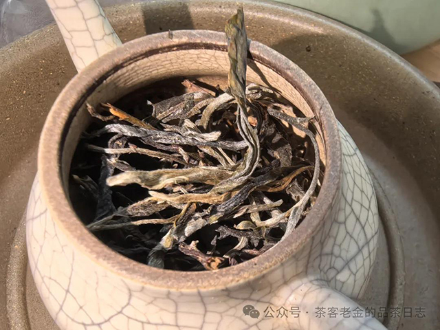 双弗山山魂麻黑高杆普洱茶品质特点