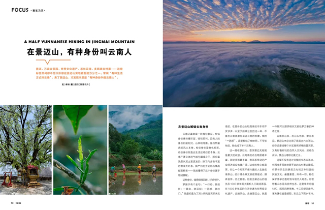 普洱杂志