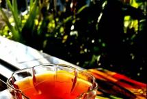 熟茶大前瞻：品质稳定性与极致慢养发酵