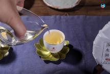 普洱杂志：如何才算喝懂普洱生茶？