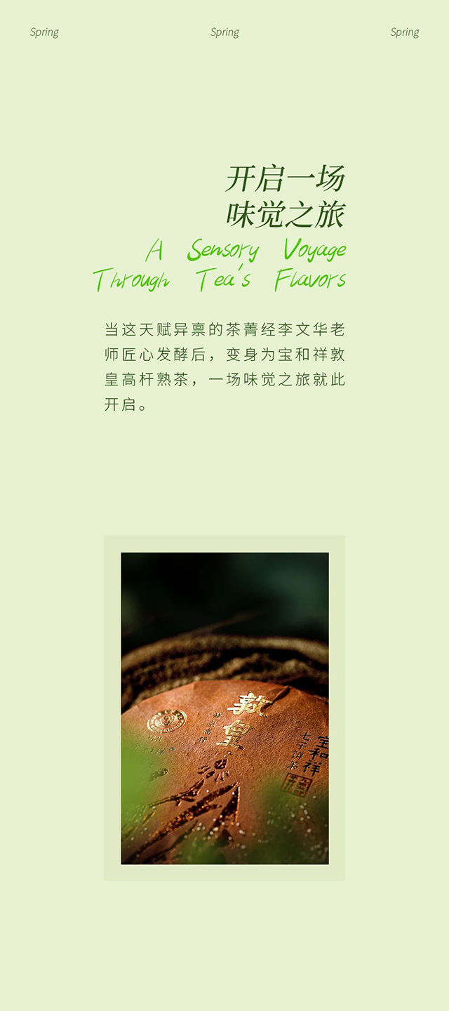 宝和祥普洱茶
