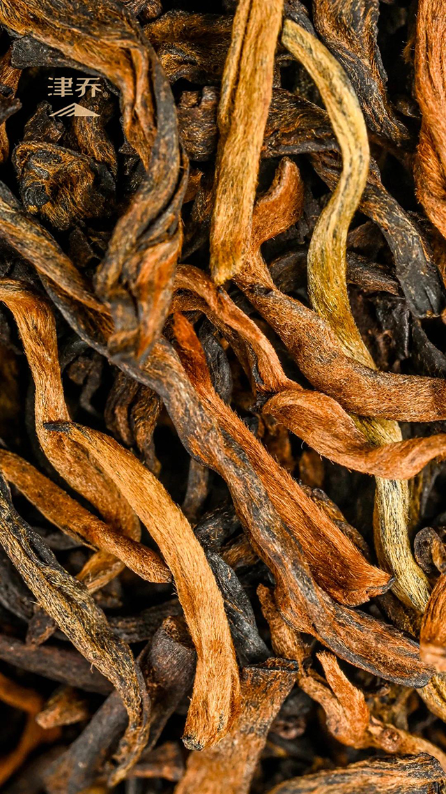 津乔普洱恭廷熟茶