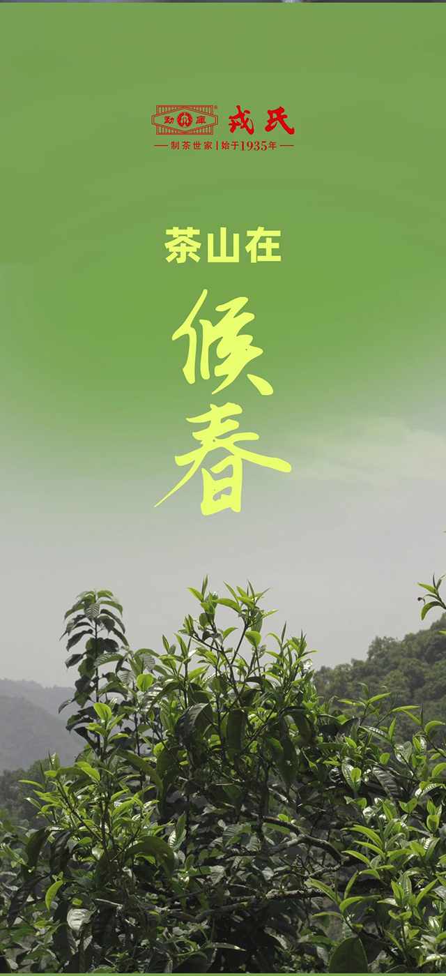 勐库戎氏茶业