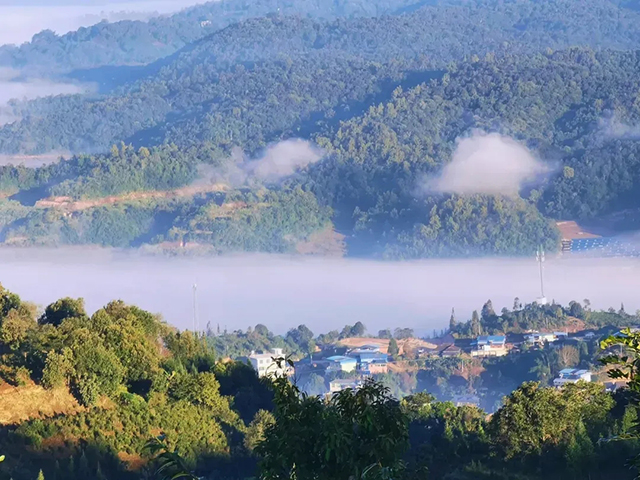 六大茶山