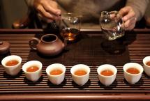 普洱杂志：微生物与普洱茶