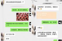 时光淬炼的琥珀——以9016熟沱为例，解码老熟茶的灵魂滋味