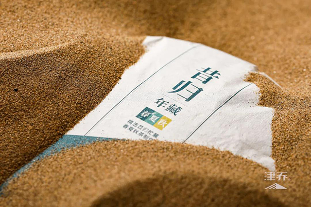 津乔普洱
