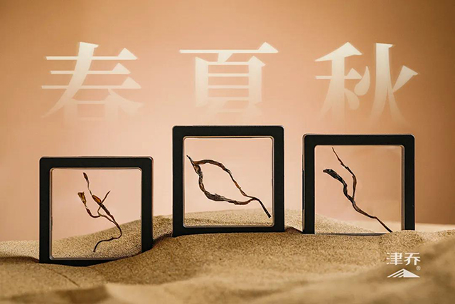 津乔普洱