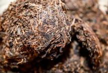 为什么大叶种普洱茶更具转化潜力？