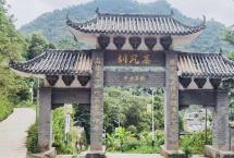 易武茶王者～刮风寨