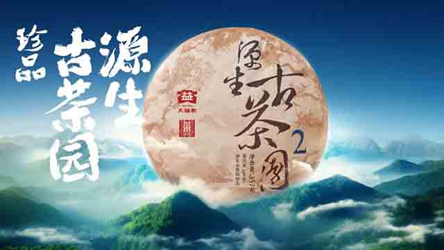 大益茶源生古茶园普洱茶品质特点