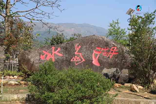图为南茗佳人小户赛普洱茶
