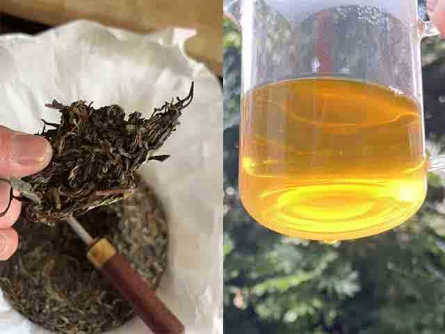 沈总近日品鉴蓝版2022摆尾箐古树小饼