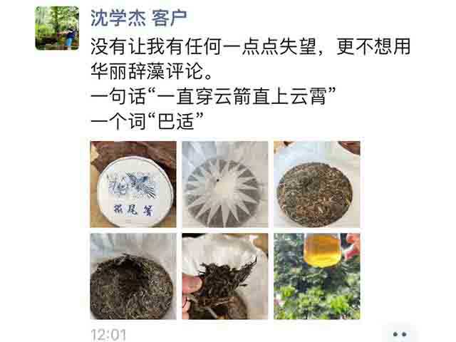 沈总近日品鉴蓝版2022摆尾箐古树小饼