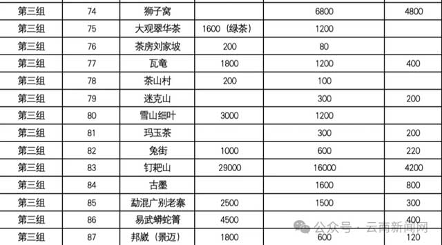 2025年云南著名山头春茶价格发布